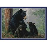 Hautman Bear Family Rug Size: 2'8 x 3'10