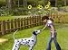 Doggie Daycare [Download] image 2