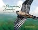 The Peregrine's Journey: A Story of Migration