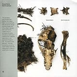 Grand Salvo - Soil Creatures (Audio CD) - B002ASVYSW