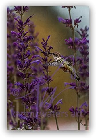 Ruby Throated Hummingbird, 6x9 Archival Print on Metallic Paper Matted to 11x14 'Violet Feast' by Karen Waters