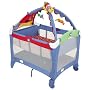 Graco Baby Einstein Discover and Play