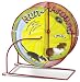 Super Pet Hamster Run-Around 8-Inch Regular Exercise Wheel, Colors Vary