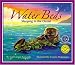 Water Beds: Sleeping In The Ocean