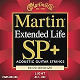 Martin MSPLUS3100 }[` AR[XeBbNM^[