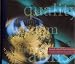 Towards a World Class University: A Report on a World Tour By The Council For Swinbur...