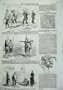 1857 Chinese Torture Garotting Amherstia Nobilis Flower