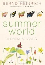 Summer World