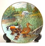 Knowles The Northern Shoveler by Bart Jerner Living with Nature Jerners ducks CP437