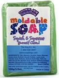 Cookie Jar Moldable Soap - Green 100g / 3.5oz - B000P275QU