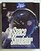 Microsoft Flight Simulator (Windows)