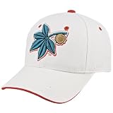 Zephyr Ohio State Buckeyes Triple White Fitted Hat