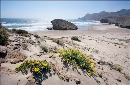 Cover image : Andalucia 2009.