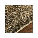 Boulevard Ivory Shag Rug Size: Scatter / Novelty 2' x 3'