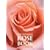 The Ultimate Rose Book: A New Expanded Edition
