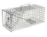 Humane Squirrel Trap
