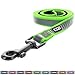 Pawtitas 6 FT Padded Dog Leash with Comfortable Neoprene Padding Handle - Green Lead | Medium Reflective Dog Leash with Highly Reflective Band Perfect for Medium and Large Dogs and Puppies.