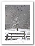 Winter Flight by Bob Timberlake 20"x14" Art Print Poster
