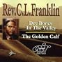 Dry Bones in the Valley / Golden Calf
