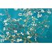 Almond Blossom Art Styles Poster Print by Vincent van Gogh, 36x24