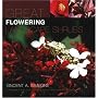 Great Flowering Landscape Shrubs