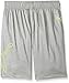 PUMA Big Boys' Tech Comfort Short with Side Cat