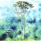 Forest of glass