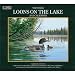 2011 Loons On The Lake Calendar