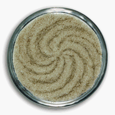 Gourmet Sel Gris De Guerande Sea Salt from The Green Bean Company by The Green Bean Company