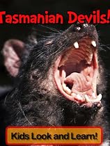 Tasmanian Devils! Learn About Tasmanian Devils and Enjoy Colorful Pictures - Look and Learn! -From Free Kindle Books Library