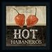 Hot Habaneros by Jennifer Pugh Chili Peppers Vintage Sign 15x15 in Framed Art Print Picture
