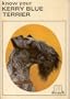 Know Your Kerry Blue Terrier