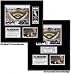 Chicago White Sox - U.S. Cellular Field - Ballpark Ticket Frame