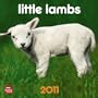Little Lambs 2011 7X7 Mini Wall