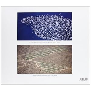 Las Vegas/Venedig: Fragile Mythen