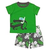 Carter's Boys Shorts Set Green Grey Alligator