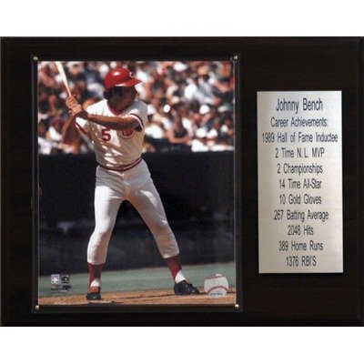 MLB Cincinnati Reds Johnny Bench Photo Career Stat Plaque