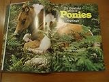 The wonderful world of ponies