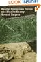 Special Operations Forces and Enemy Ground Targets:  Lessons from Vietnam and the Persian Gulf War