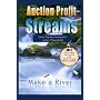 Auction Profit Streams by John Thornhill