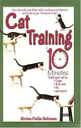 Cat Training in 10 Minutes
