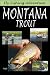 Search : Fly Fishing Adventure, Montana Trout