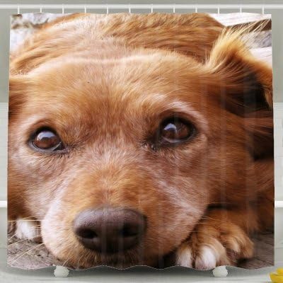 Interesting Puppy Shower Curtains 72*78inch Polyester Fabric