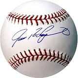 Ivan Rodriguez MLB Baseball
