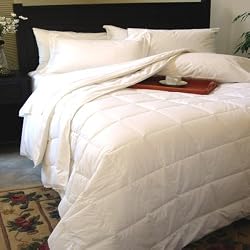 Classic White Down Alternative Comforter or Blanket Year Round Filled , Twin