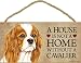A house is not a home without Cavalier King Charles Spaniel - 5