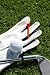 Golf Detail - 24