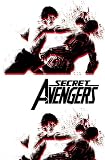 Secret Avengers, Vol. 3: Run the Mission, Don't Get Caught, Save the World
