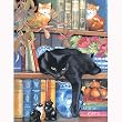 On the shelf 100pc Jigsaw Puzzle