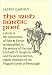 The Irish Bardic Poet (Irish Literature - Studies)